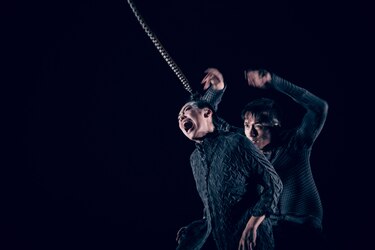 Prisma, historias de danza y dedicación