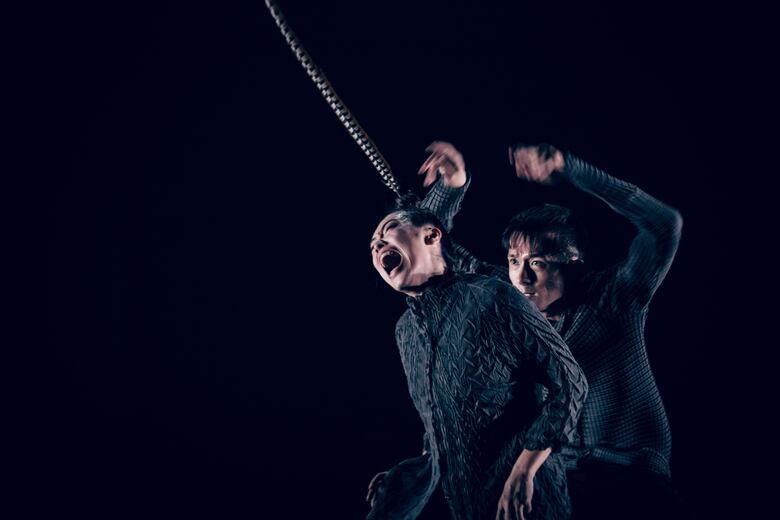 Prisma, historias de danza y dedicación