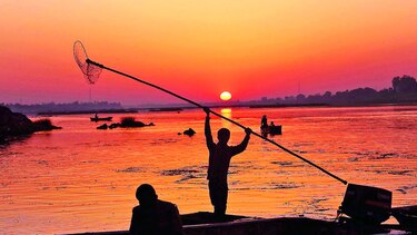 Las secuelas de la pesca ilegal