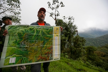 La biodiversidad del Chocó Andino estaría en peligro