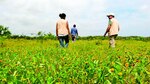 Riqueza natural e histórica