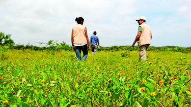 Riqueza natural e histórica