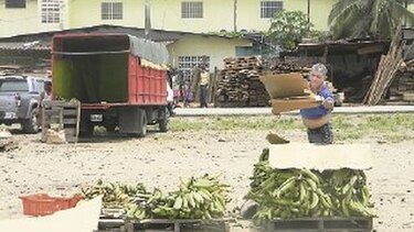 Comerciantes deben cumplir normas