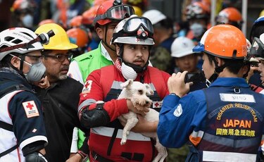 Un perro es rescatado por el equipo japonés de auxilio para desastres