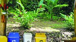 Conexión con la naturaleza