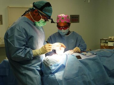 EU regulará trasplantes de mano y rostro