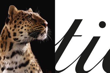 Cartier celebra a su ícono felino