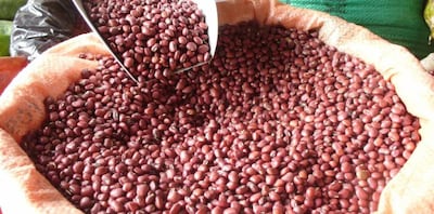 IMA destina $1.9 millones para compra de frijol chiricano y otros productos