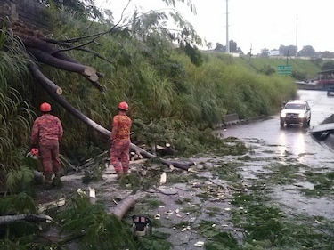 Lluvia deja caída de árboles, colapso de pared y deslizamiento de tierra
