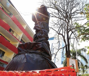 Ordenan el verdor urbano