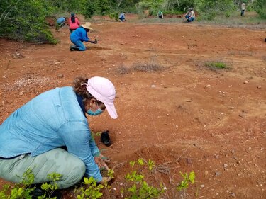 El 80% del parque nacional Sarigua está deforestado