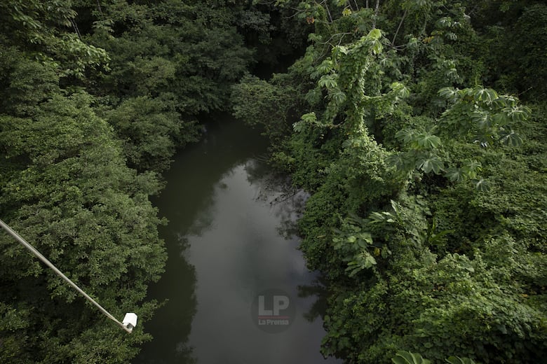 ¿Dónde están los registros de fiscalización de Minera Panamá?