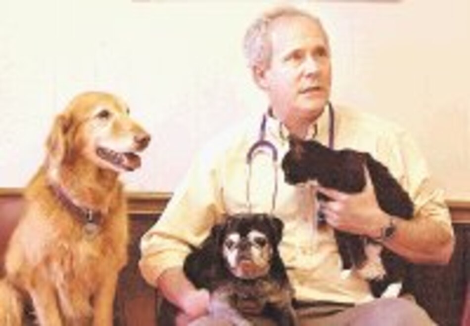 La verdad de gatos y perros