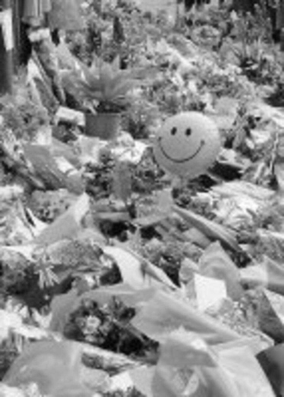 Muerte quedó grabada