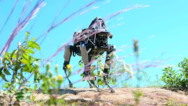 Evalúan uso de robots para asistencia militar