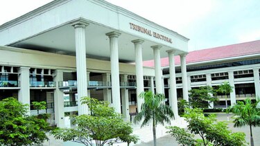 Tribunal Electoral reconoce 25 precandidatos presidenciales