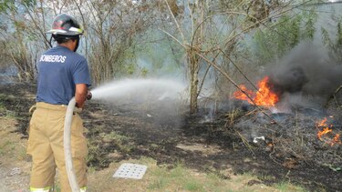 Parque Nacional Altos de Campana sufre afectaciones por incendios
