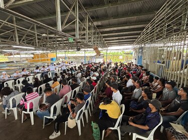 Sobrepasan las 1,600 personas interesadas en trabajar con Chiquita en Bocas del Toro
