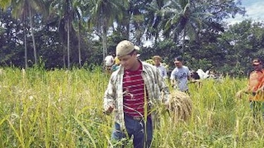 Varela no descarta remoción del director del BDA