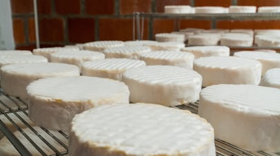 La Contraloría refrendó las compras de queso fresco a favor del gremio que antes presidió el director del IMA