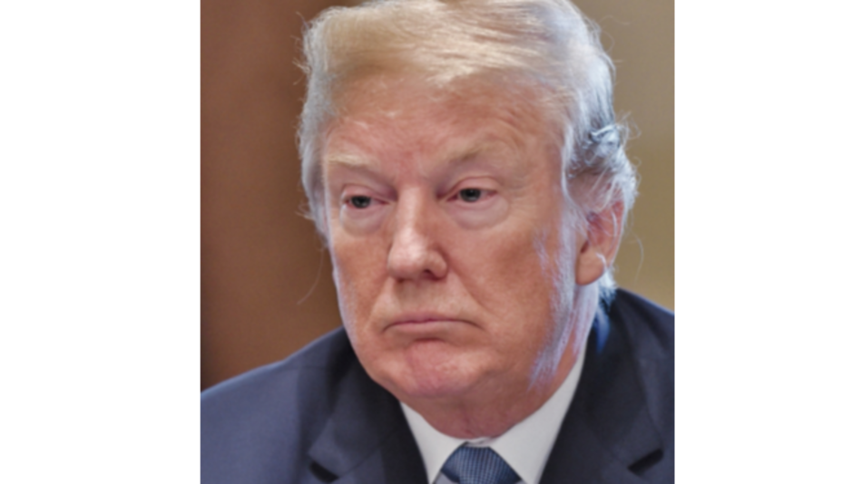 Se avecina una ola de libros pro Trump en Estados Unidos