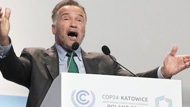 El llamado a detener el cambio climático
