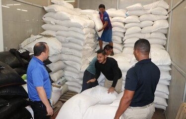 Aupsa y Aduanas decomisan 550 quintales de arroz de presunto contrabando