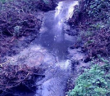 Denuncian contaminación del afluente El Barrero de Macaracas