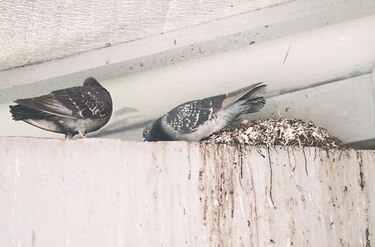 El nuevo año escolar arrancó con algunos inconvenientes