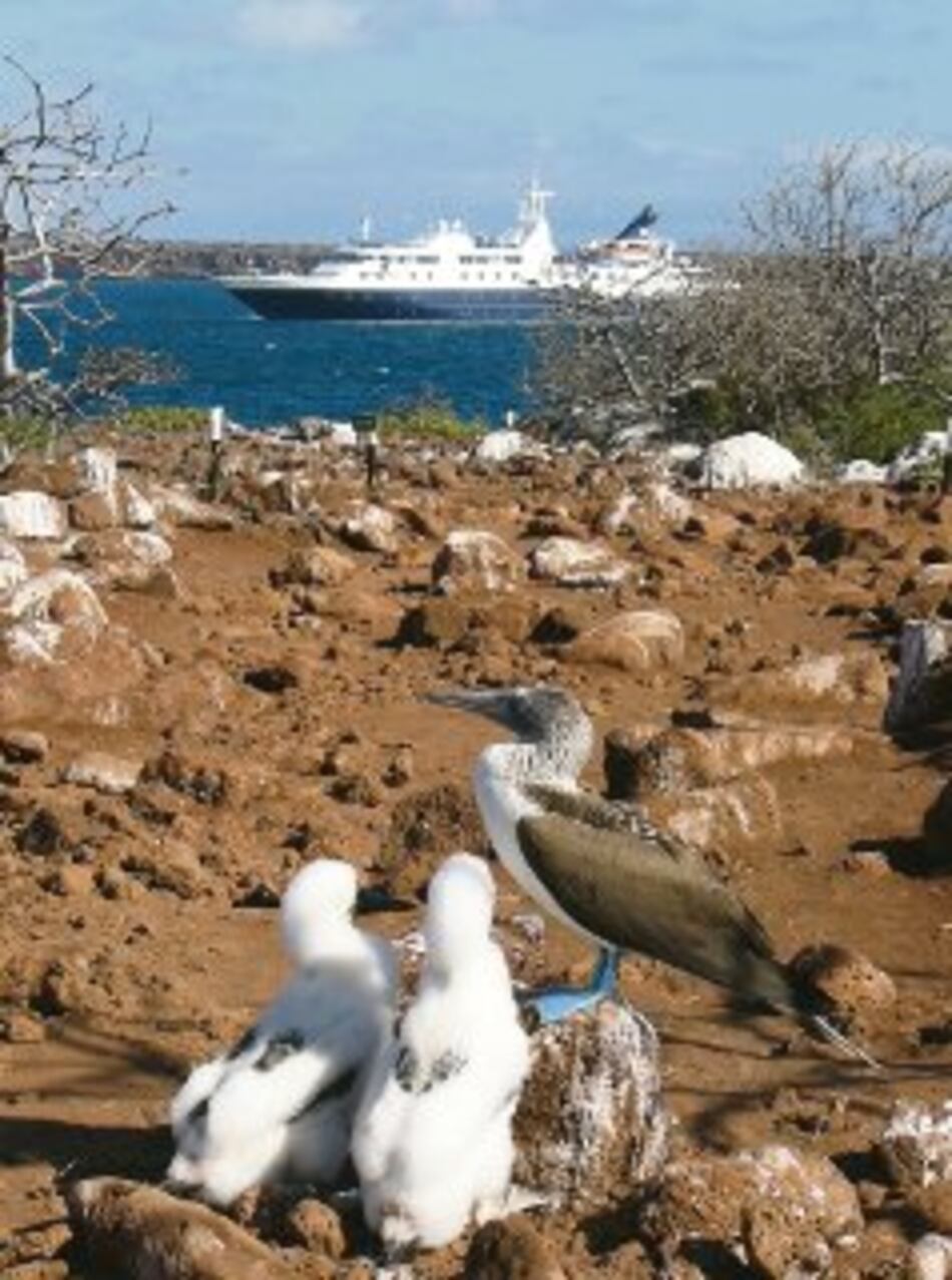Galápagos no usará combustibles fósiles