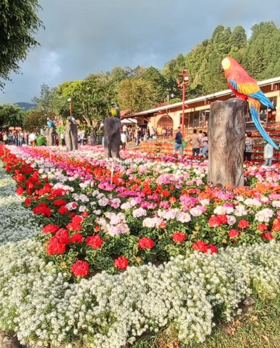 Feria de Boquete impulsa la economía de Chiriquí: 90% de ocupación hotelera y más de mil empleos generados