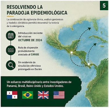 Estudio identifica a Darién como epicentro del virus Oropouche en Centroamérica