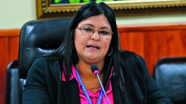 Fiscal: extensión del plazo no fue antojadiza