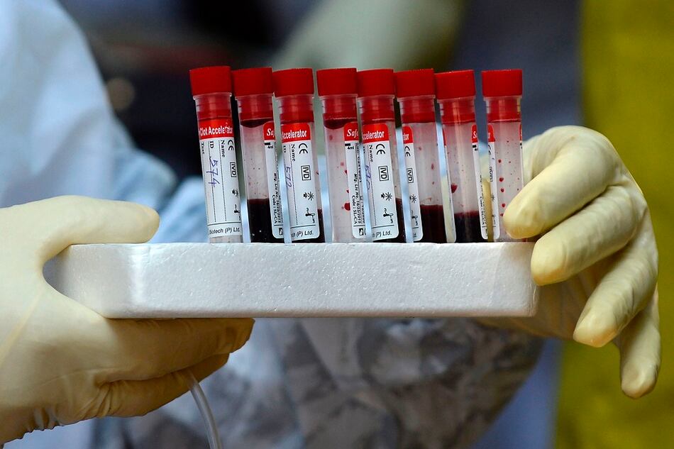 El Rt de casos y muertes, una medida útil en tiempos de pandemia