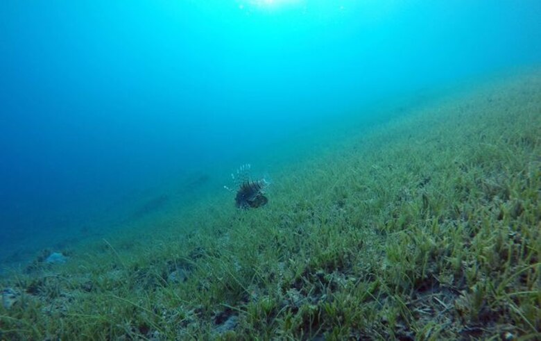 Subida del mar amenaza grandes ciudades costeras de Asia