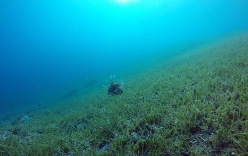 Subida del mar amenaza grandes ciudades costeras de Asia