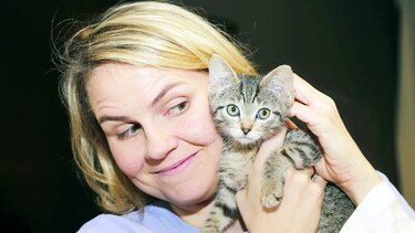 Uber envía gatitos a quienes quieran caricias