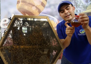 Expertos ven oportunidad para la microempresa con el presidente Petro