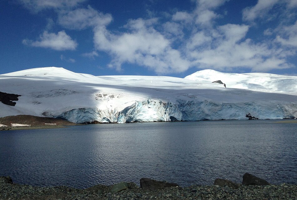 Un nuevo mapa de la Antártida identifica más de 300 redes de cañones submarinos