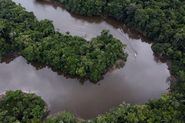 Los gráficos, mapas y fotos que muestran la lenta muerte de la Amazonía y por qué el mundo debería preocuparse