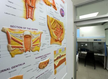 El cáncer y el sexo oral