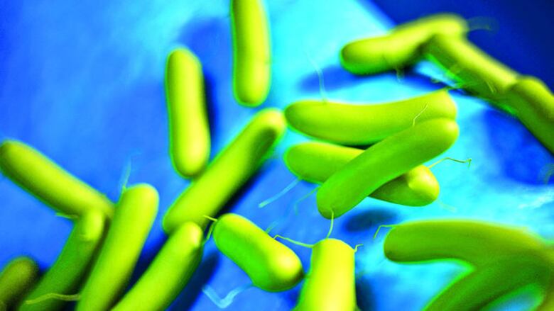 Microbios más resistentes