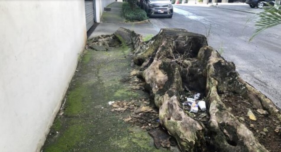 Alcaldía licita proyecto para mejorar aceras en vía Italia por $3 millones