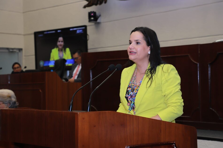 Mides presenta en la Asamblea el proyecto que crea el Instituto del Adulto Mayor