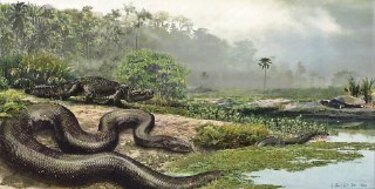 La anaconda se queda pequeña