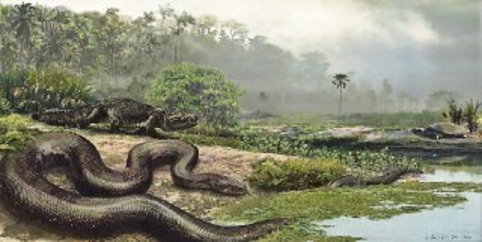 La anaconda se queda pequeña