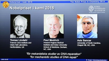 Nobel de Química para tres científicos por su trabajo sobre reparación del ADN