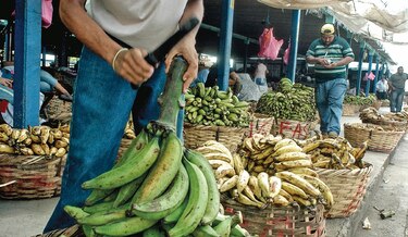 Tribunal revisa demanda de exbananeros