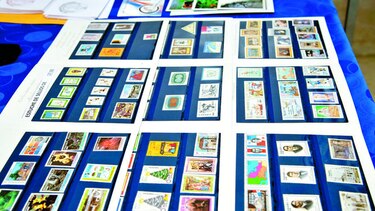 Fiesta de colecciones