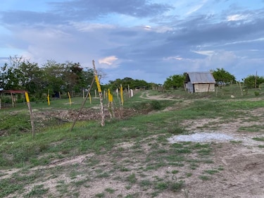 Juez de paz certificó fincas en humedal bahía de Panamá